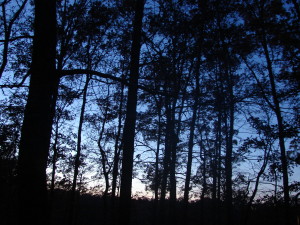 Sunset during a camping evening, Star City, AR. November, 2006.